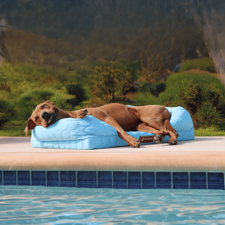 Premium Comfort, Rescuing Lives