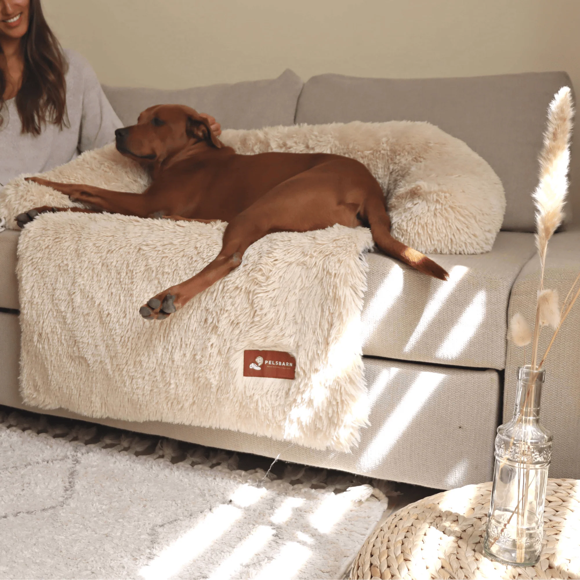 Sofa Beds